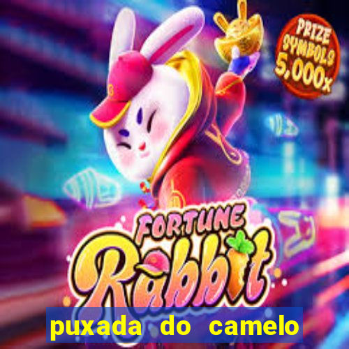 puxada do camelo no jogo do bicho